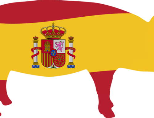 Spanish Study Tour 2023